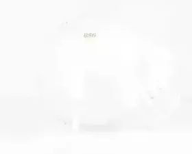 BSG 90-550-010 BSG Компенсационный бак, охлаждающая жидкость